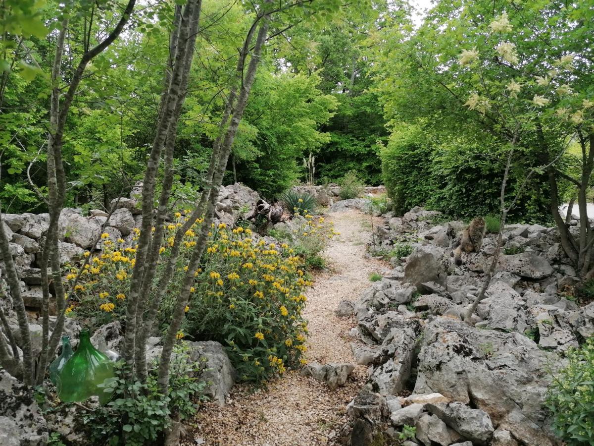The Forest House Krk 1 Kras Esterno foto